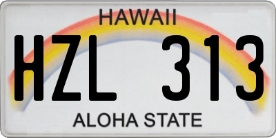 HI license plate HZL313