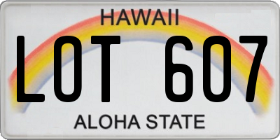 HI license plate LOT607