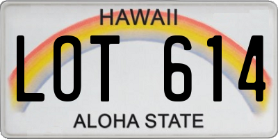 HI license plate LOT614