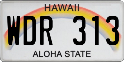 HI license plate WDR313