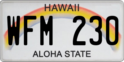 HI license plate WFM230