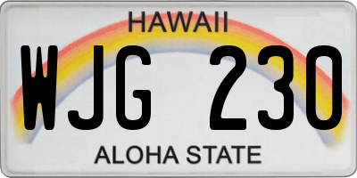 HI license plate WJG230
