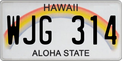 HI license plate WJG314