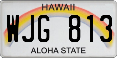 HI license plate WJG813