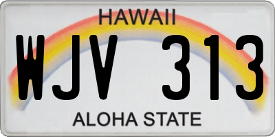HI license plate WJV313