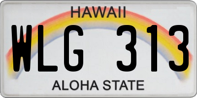 HI license plate WLG313