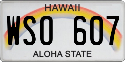 HI license plate WSO607