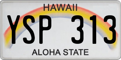 HI license plate YSP313