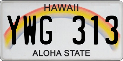 HI license plate YWG313