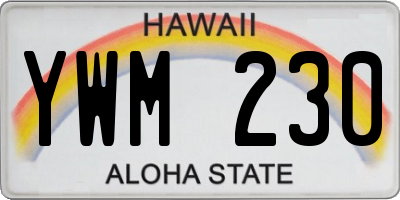 HI license plate YWM230