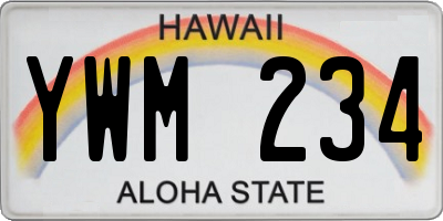 HI license plate YWM234