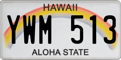 HI license plate YWM513