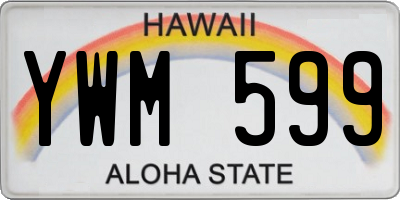 HI license plate YWM599