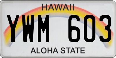 HI license plate YWM603
