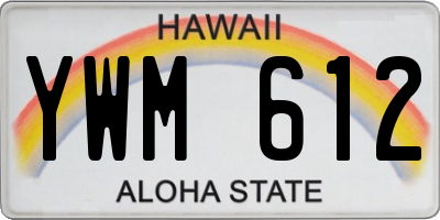 HI license plate YWM612