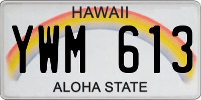 HI license plate YWM613