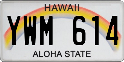 HI license plate YWM614