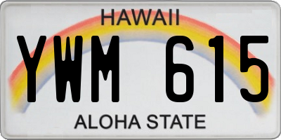HI license plate YWM615