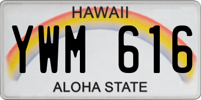 HI license plate YWM616