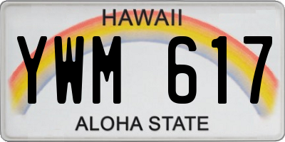 HI license plate YWM617