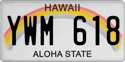 HI license plate YWM618