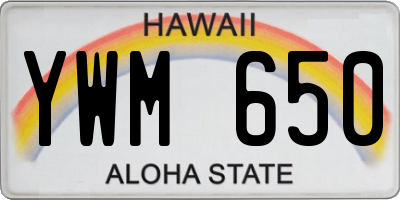HI license plate YWM650