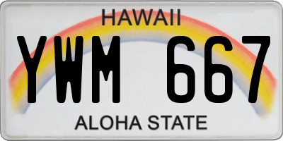 HI license plate YWM667