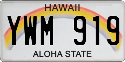 HI license plate YWM919