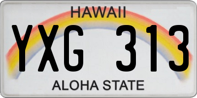 HI license plate YXG313