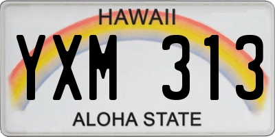 HI license plate YXM313
