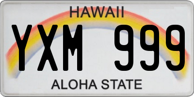 HI license plate YXM999