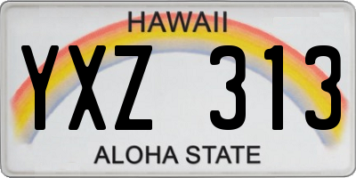 HI license plate YXZ313