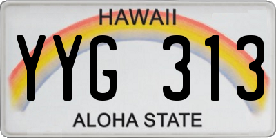 HI license plate YYG313