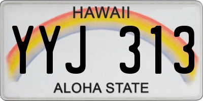 HI license plate YYJ313