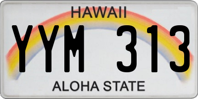 HI license plate YYM313