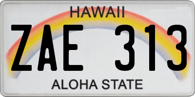 HI license plate ZAE313