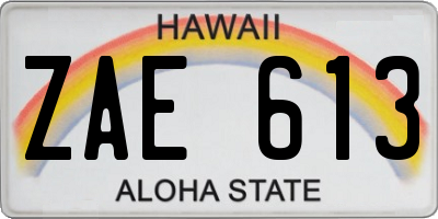 HI license plate ZAE613