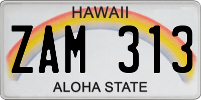 HI license plate ZAM313
