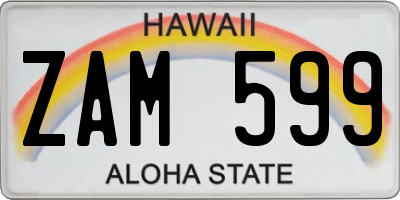 HI license plate ZAM599