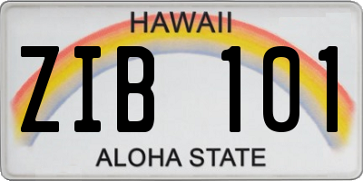 HI license plate ZIB101