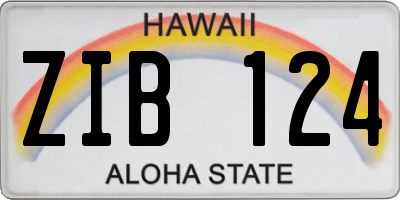 HI license plate ZIB124