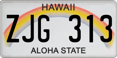 HI license plate ZJG313