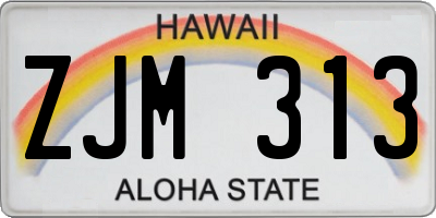 HI license plate ZJM313
