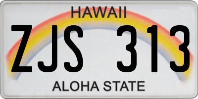 HI license plate ZJS313