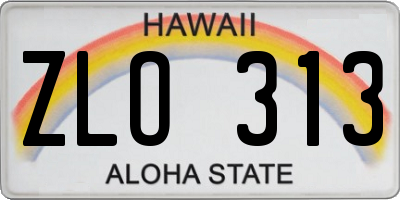HI license plate ZLO313