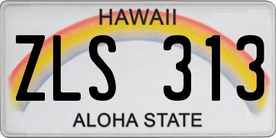 HI license plate ZLS313