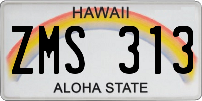 HI license plate ZMS313
