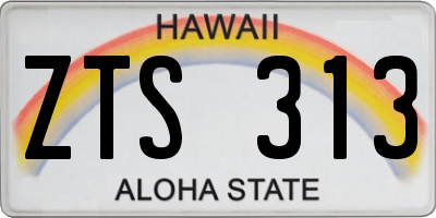 HI license plate ZTS313