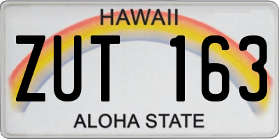 HI license plate ZUT163