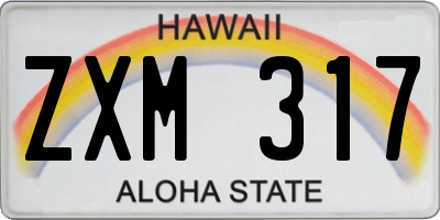 HI license plate ZXM317